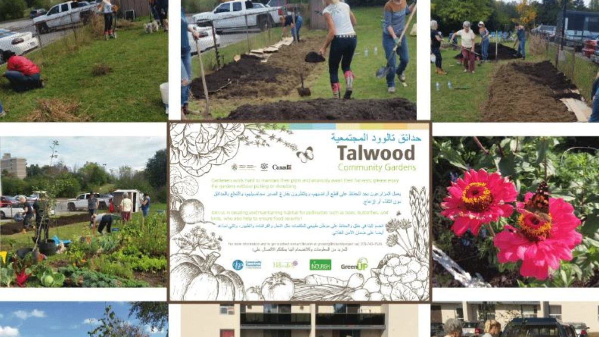 Photo - Talwood Community Gardens