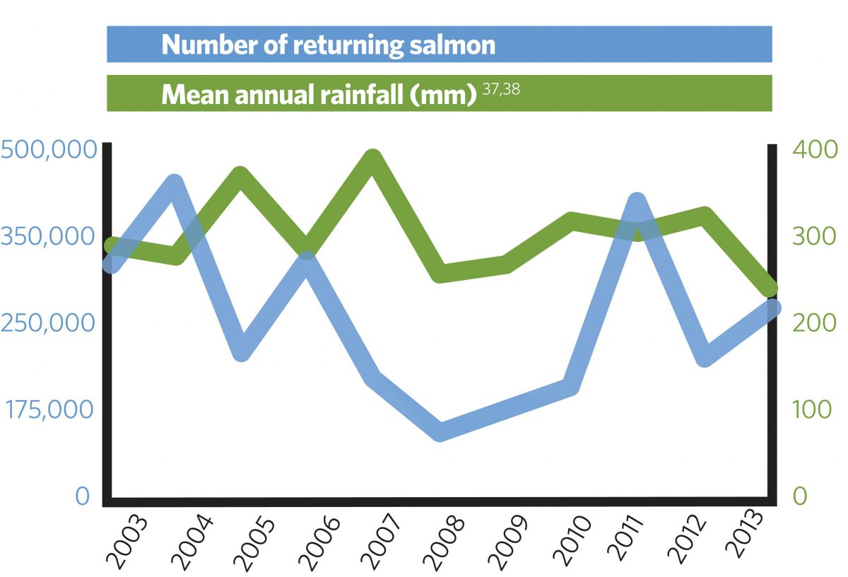 How climate change is impacting the salmon on Canada’s west coast