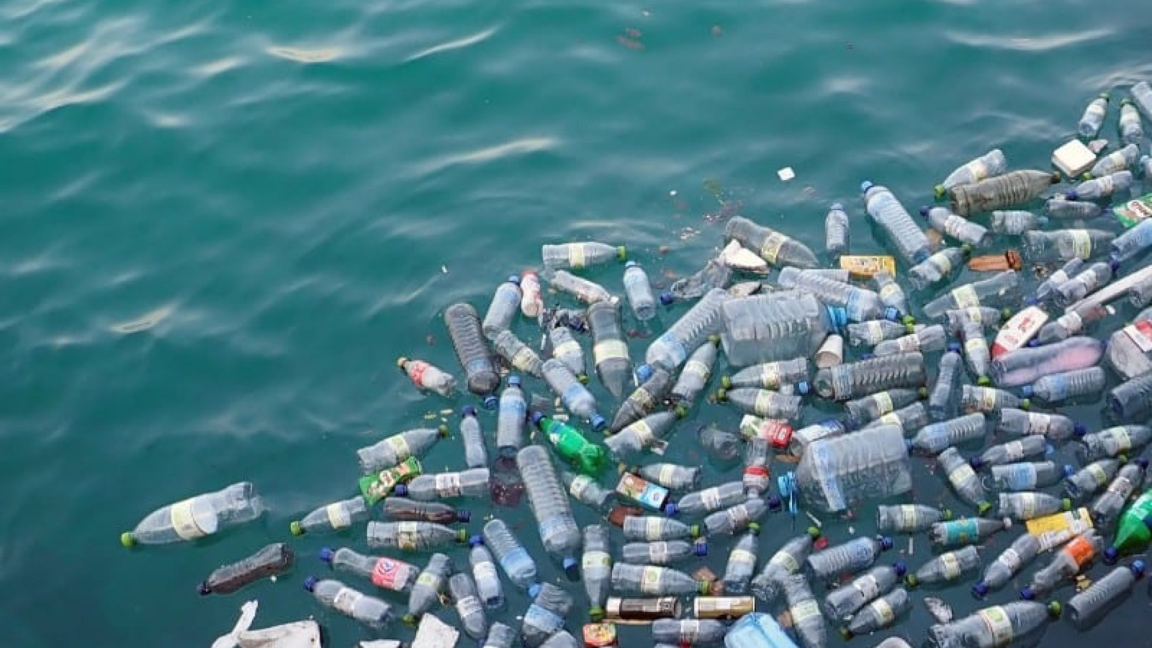 Where Canada Stands Waste & Disposal Alliance 2030